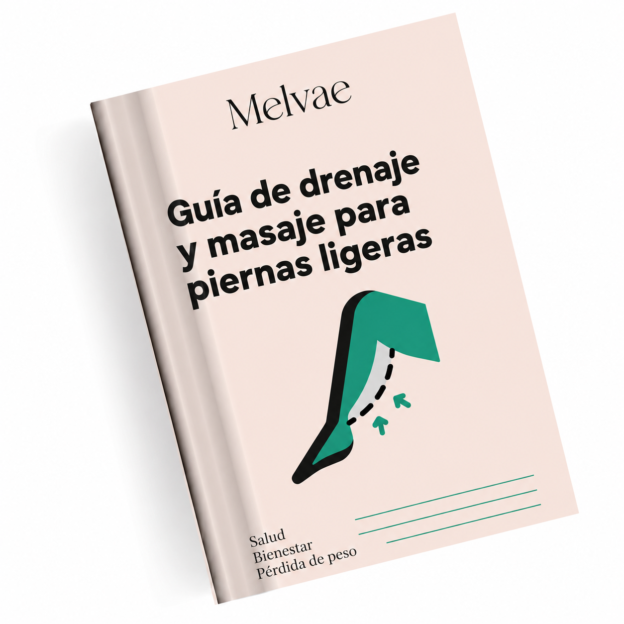 Guía de Drenaje Melvae